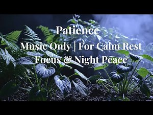 Patience-Music Only | Soft Ambient Calm for Rest, Focus & Night Peace | Still Heart and Mind Studio