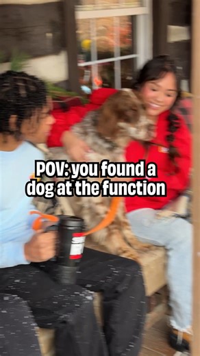 12K views · 86 reactions | New Sheetz Shop merch = certified good boy approved ✨ | Sheetz | Facebook