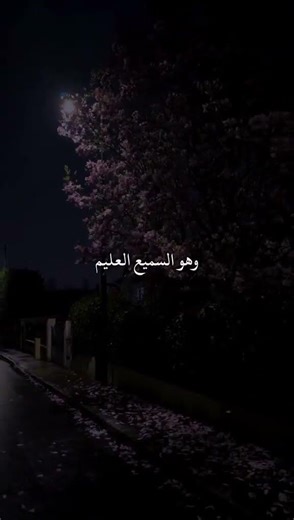#دعاء هادئ وجميل 🤲🏻🙏🏻 #اكسبلور #دعاء_مستجاب #اللهم_آمين_يارب_العالمين #دعاء_في_دقيقة