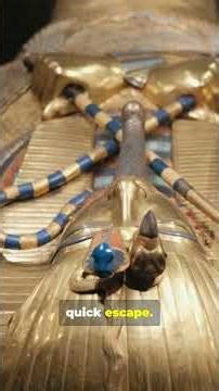 The Brutal Truth About Ancient Tomb Theft #ancientegypt #history #darksecrets