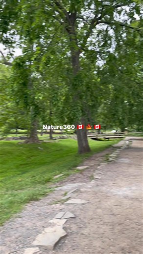 Exploring the breathtaking beauty of Great Falls Park, Virginia, USA 🌊🏞️✨ #greatfallspark #VirginaPark #greatfalls #greatfallsvirginia #usa #canada | Nature 360