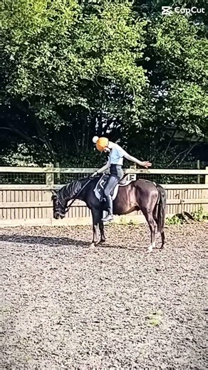 Mini flash ⚠️ from professional to well.. not!🤣🤣