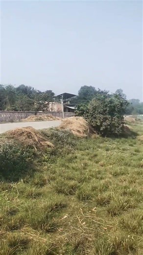 sky #likeandsubscribe #song #shorts #shortvideo #trending