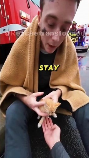 I Thought I Lost Him Forever… Kitten Rescue! #animalrescue #kitten