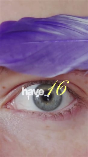 Mantis Shrimp Color Vision