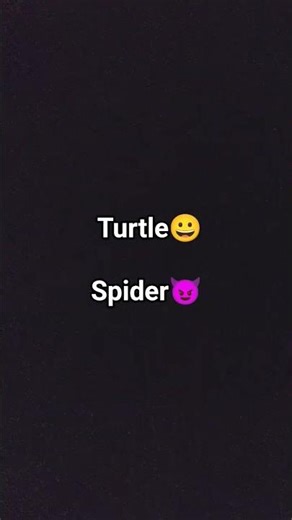 I like turtle and spider