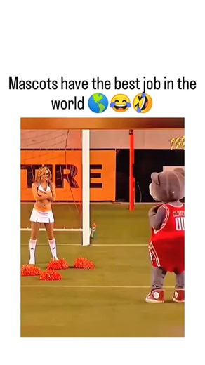 @trending_content_hub_01 on Instagram: "The post features a 67-second compilation video of sports mascots performing silly stunts, such as dancing with cheerleaders, blindfolded dunks, and chaotic interactions, capturing their joyful chaos at events. Shared by animal-loving comedian @Boldyboy1975 , it exploded to 12 million views and 47,000 likes in under a day, tapping into instagram users' craving for escapist humor amid heavy news cycles. Mascots originated as "lucky charms" from the French t