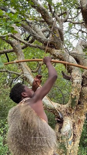 They Found a Strange Animal… Then This Happened 😲🌿 #shorts