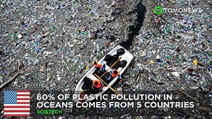 2.6K views · 11 reactions | Or we could stop using so much plastic? | TomoNews US | Facebook