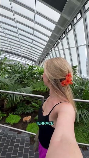 London's sky high tropical garden