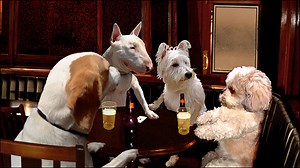 Dogface - Series 1: Episode 3 | Channel 4