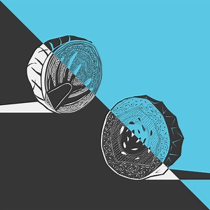 Scaly Whale, Yellowhead - An Exercise in Dissection