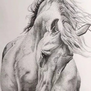 Drawing the Soul Pointillism - Amazing horse drawing by Julia Koceva - Artist | Drawing the Soul