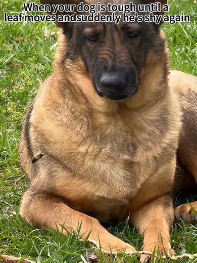 Hilarious Pranks That Will Make You Laugh