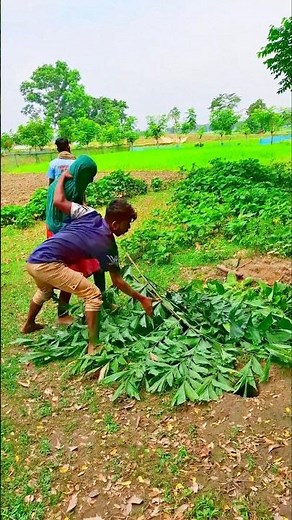 #howtomakewhitesaucepasta #italiancuisine #funny