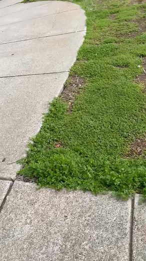 65 reactions · 20 comments | Apostolic duty 殺 | Edgar Ramirez | Facebook