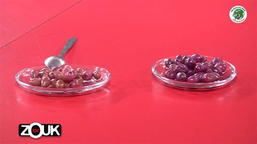 5.3K views · 91 reactions | [EXTRAIT ASSAUPAMAR] Des olives de Martinique ? Gérard Sainte-Rose, paysan, nous l'explique. | Zouk TV | Facebook