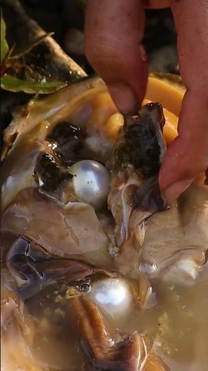 Handmade pearl picking process, wealth in freshwater clams