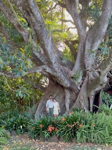 Our Australian Gardens on Reels