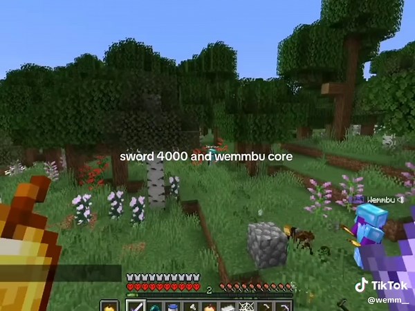 Duo dinámico: Wemmbu y Sword 4000 en Minecraft