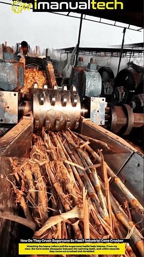 How Do They Crush Sugarcane So Fast? Industrial Cane Crusher