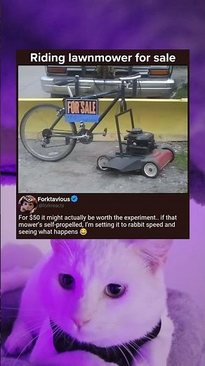 The Ultimate DIY Riding Lawnmower