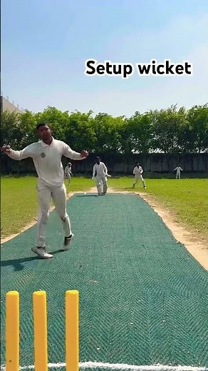 Wicket setup
