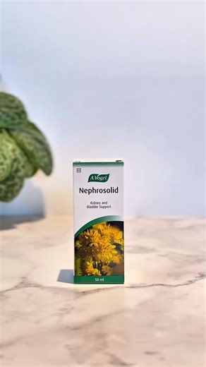 24 reactions | Small but mighty – your kidneys do so much to keep you...