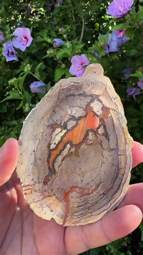 #AgateCreek #Agate #ThunderEgg #Geology #Minerals