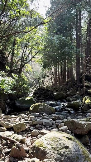 【谷太郎沢】厚木市×愛甲郡清川村の境界にある癒しスポット🏞定点カメラ版#shorts