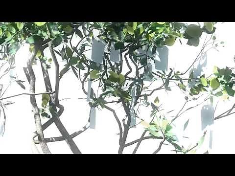 HAPPY BIRTHDAY YOKO ONO! Make a wish at wishtreeforyokoono.com