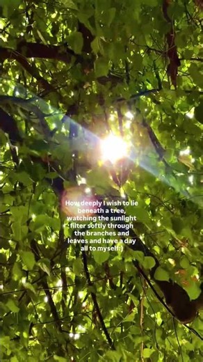 Day 46/90 of Posting Random Quotes