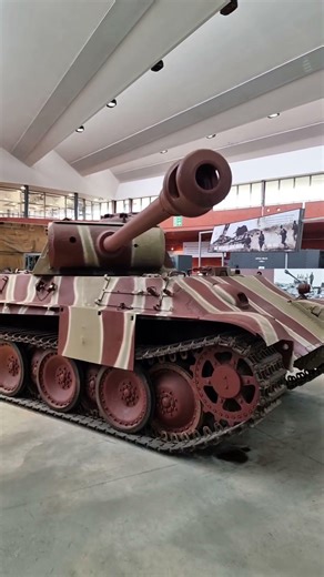 Here's just some of what you get to experience as part of a Tiger Day Premium Experience!