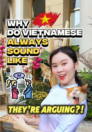 The Vibrant Culture of Vietnamese Language and Conversations
