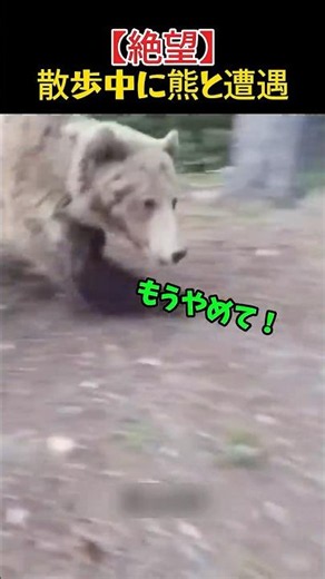 愛犬を守るため、恐怖を捨てて巨大グリズリーに立ち向かった飼い主