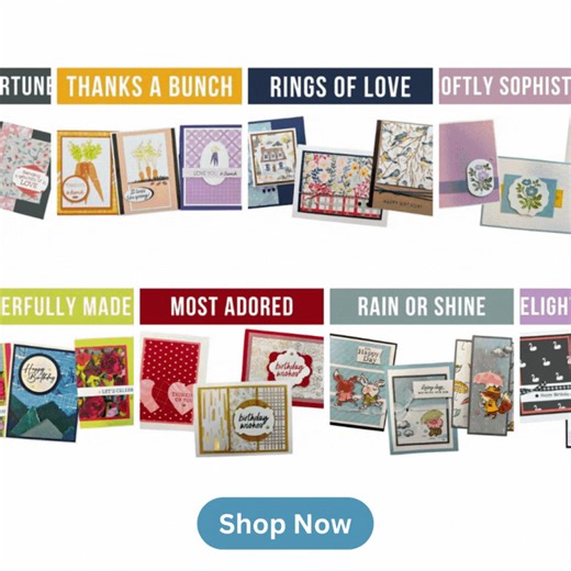 We still have amazing card kits, Mystery Boxes, and Mystery Kits up for grabs! Head over to our shop and secure your kits today! Shop here: https://karentitus.com/cardkitsale/ | Stamping on the Back Porch
