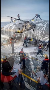 Teddy Gen AI on Reels