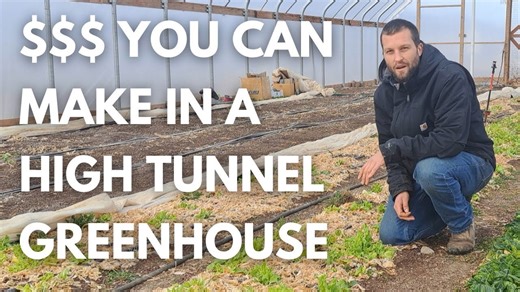 How Much $$$ Can One Greenhouse Earn Per Year?