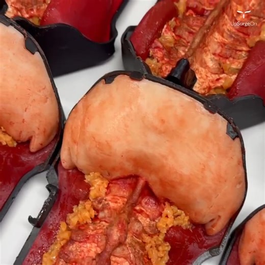 🖼️ THE ART OF OPERABLE ANATOMY 🤩 👀 Vesalius, Leonardo da Vinci, Galen… they explored and dissected the human body to create new knowledge. Layer by layer, they unveiled the secrets of nature. At UpSurgeOn, we carry that legacy forward by simulating the beauty of human anatomy and making it accessible to everyone. Nature is nature — unique and unrepeatable — but we can provide a powerful, precise and operable synthesis of it. This is what you see in our plans: a new era, where nature is re-cre