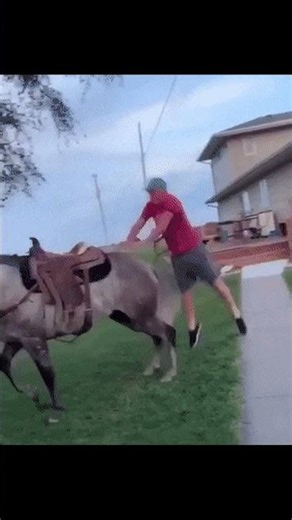 笑えるgifシリーズ #405 #shorts