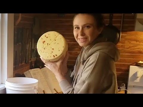 How To Make Pepper Jack Cheese || Raw Milk Cheese Tutorial