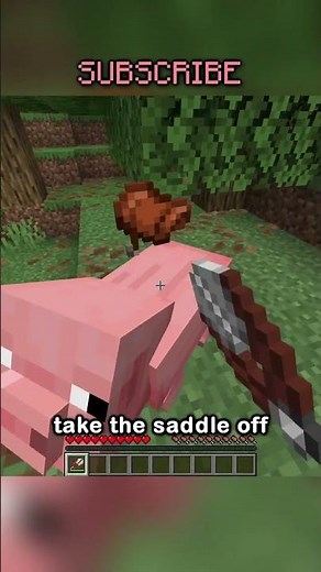 YOU CAN NOW CRAFT SADDLES.