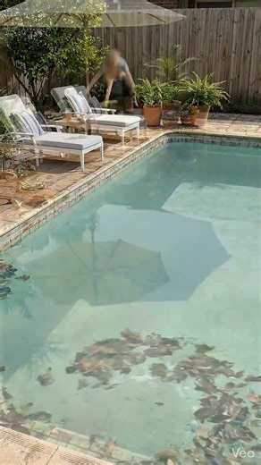 Full Pool Cleaning: From Dirty to Resort-Ready