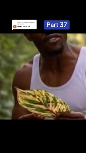 The Ofula Leaf and Kingdom Secrets Unveiled