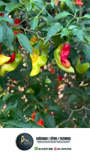 Take your family to the countryside!!! #countryside #farmsforsale #farm #leisure