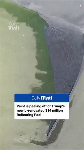 It looks like paint is already peeling off Donald Trump's newly-renovated Lincoln Memorial Reflecting Pool, which cost about $14 million. The Reflecting Pool has also garnered attention for accumulating algae, turning what was supposed to be an 'American flag blue' pool, green. #news #politics #trump #washingtondc