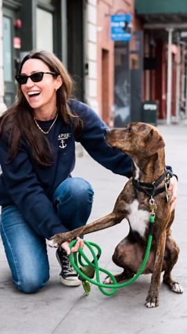 The Dogist on Instagram: "Billy, Labrador Retriever/Staffordshire Terrier mix (2 y/o), Great Jones & Lafayette St., New York, NY • “Billy’s obsessed with the fire station. They give him treats – I’m pretty sure he would live with them. He’s a foster fail from @socialteesnyc. He was my fifth foster with them; I’d always gotten older dogs or dogs with a bad history, and I was like, ‘don’t ever give me a puppy!’ When I showed up he was 12 weeks old, and I was done. I thought about making him an Ins
