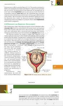 Human reproduction - Embryonic development class 12 BIOLOGY Chapter 2 #trending #shorts