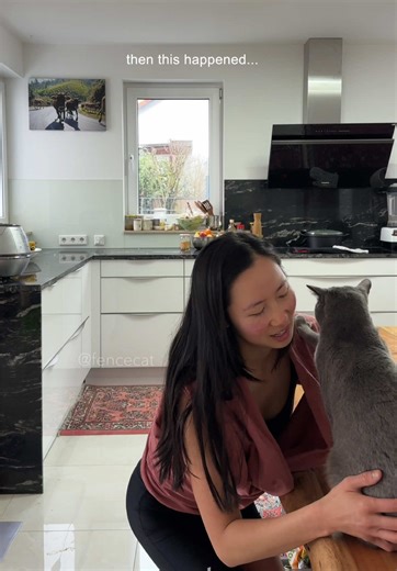 Cat Comforts in a Scarf: A Heartwarming Journey