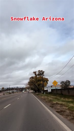 #snowflake #arizona #naturaleza#fyp #viralvideo